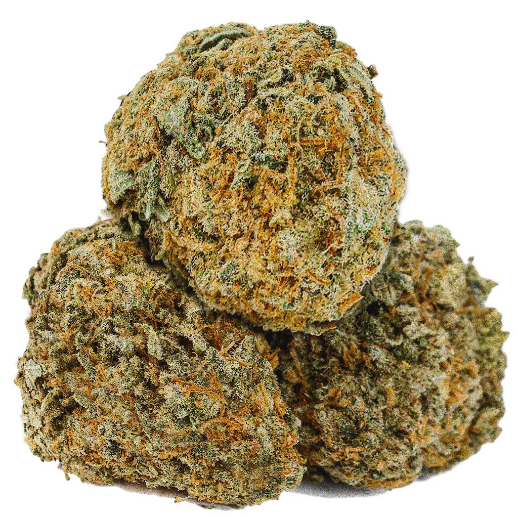 239-Pink-Champagne-Strain.jpg