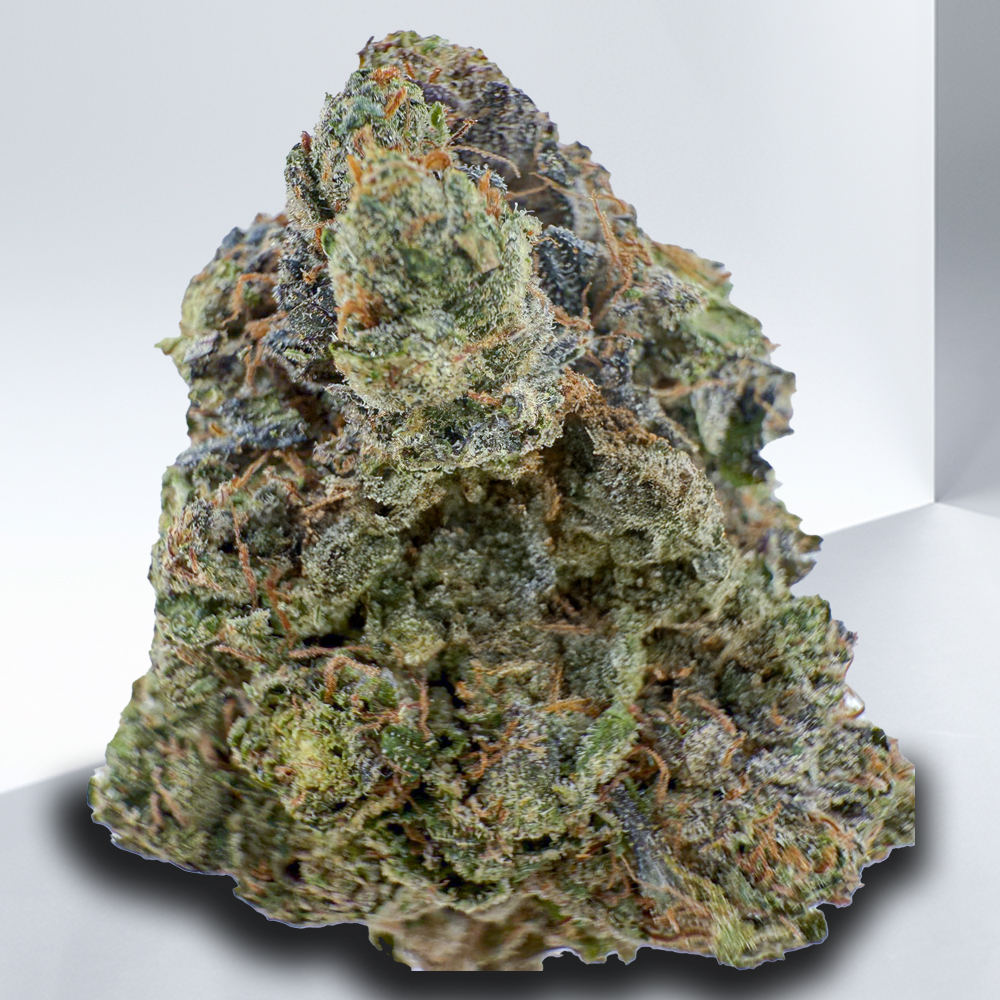 423-Pink-Violator.jpg