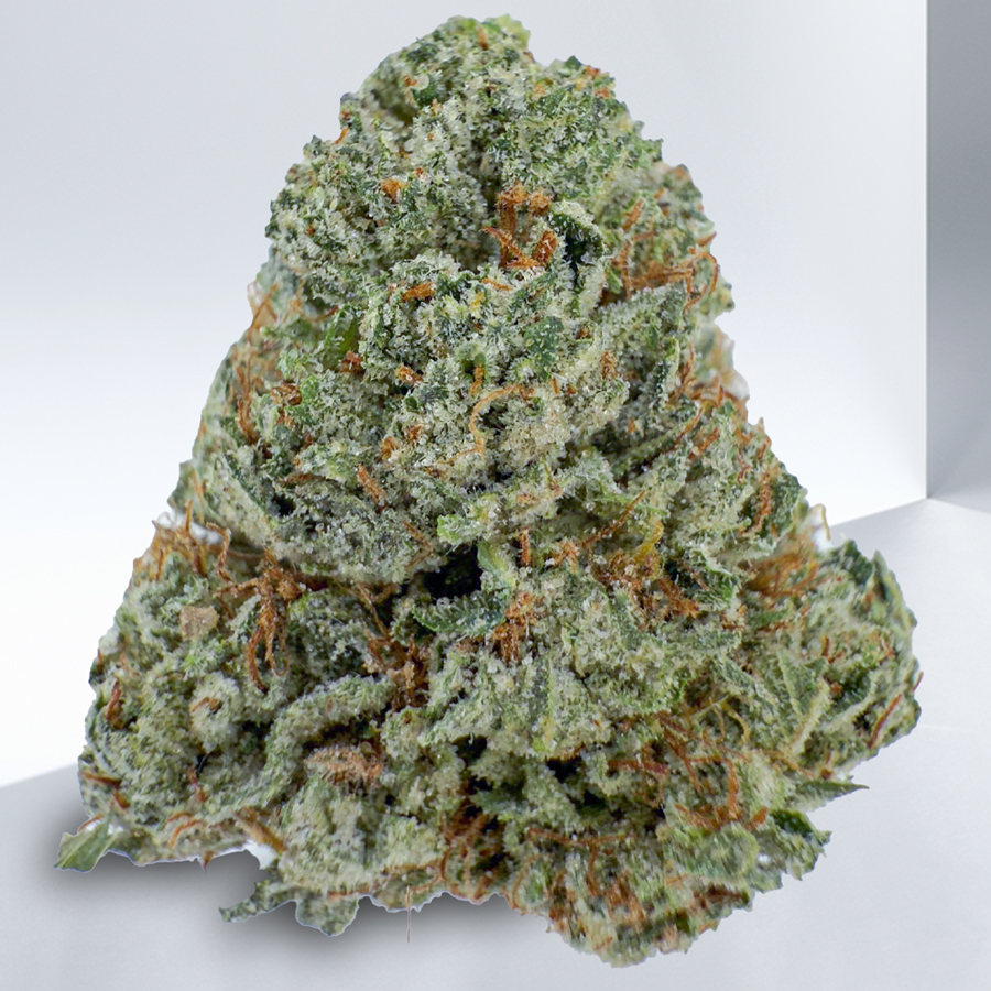 99156-445-Pink-Mandarin.jpg
