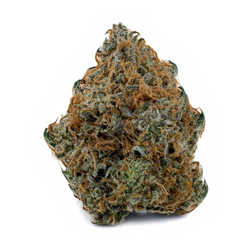 359-PURPLE-PUNCH