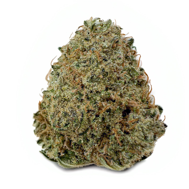 364-PURPLE-CANDY-LAND