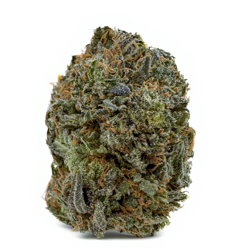 407-PINK-SNOOP-DOG