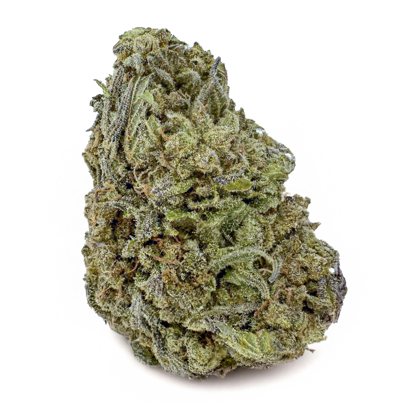 174-BISCOTTI-GELATO.jpg