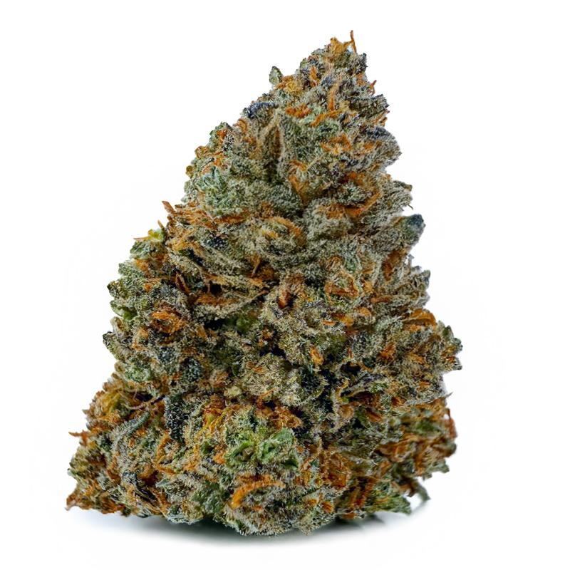 326-CHEMDAWG-99113-46.jpg